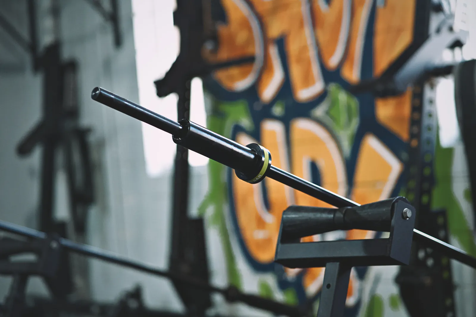 The Melo Bar, yellow collar, seated in a landmine sleeve in front of a graffiti wall.